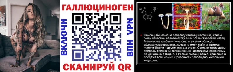 цены   Гагарин  Галлюциногенные грибы прущие грибы 