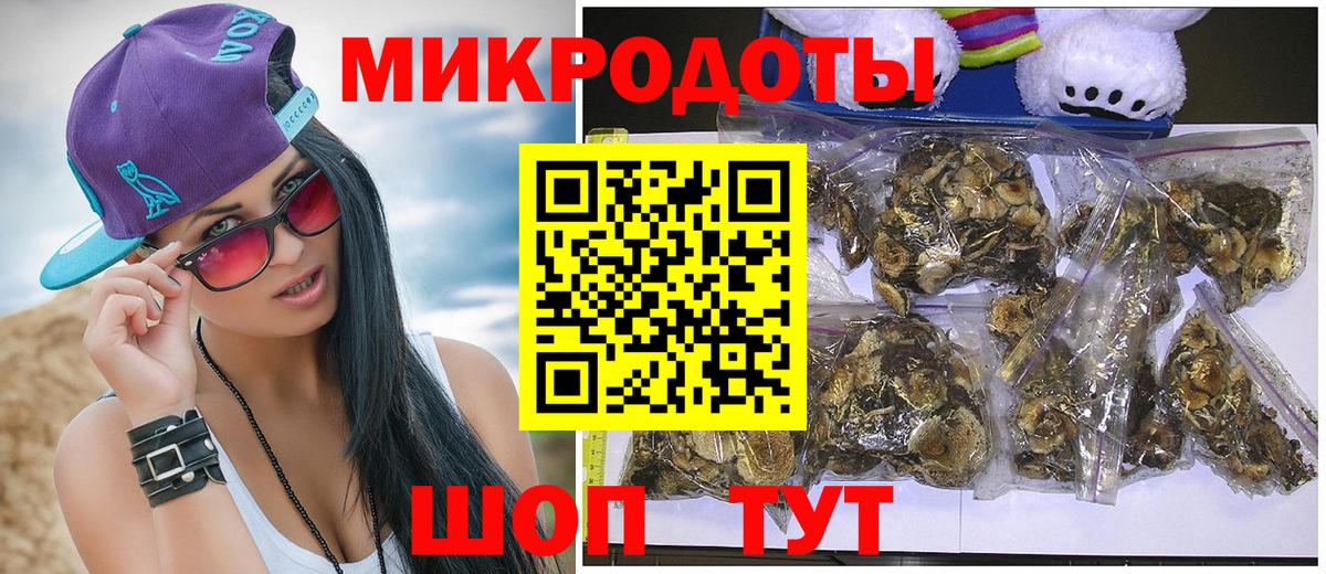 Галлюциногенные грибы Psilocybine cubensis  Вход с VPN  Гагарин  Галлюциногенные грибы прущие грибы 