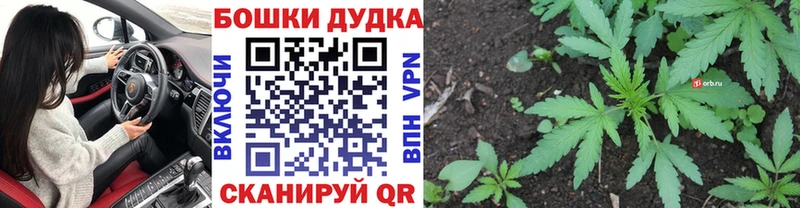 MEGA ТОР  Гагарин  Конопля план 